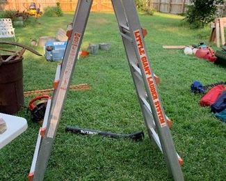 Little giant scaffolding ladder