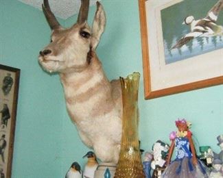 Antelope Mount 