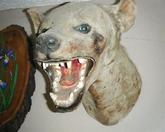 Looking for that something special gift for your mother in-law? 