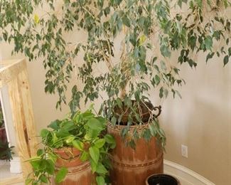 Decor Vases & Plants