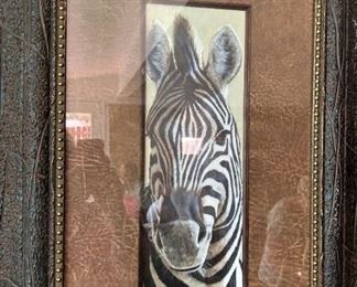Zebra framed art