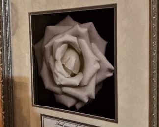 Framed rose