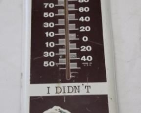23 - Michael Deedamier Beer Thermometer 38 x 8
