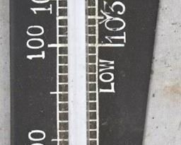 715 - Cyphers Incubators thermometer
