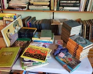 a full table of children's books
