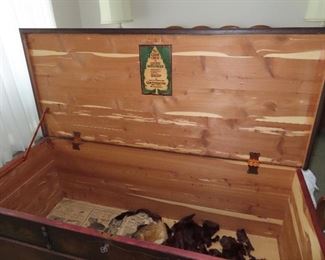 Inside Cedar Chest - Mink Strips in bottom.