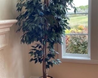 Wood Wicker Plant Holder