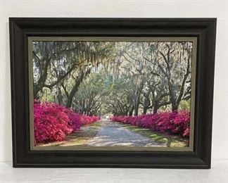 Scenic Driveway Wall Art