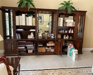 BEFORE STAGING...What is in this wall unit?