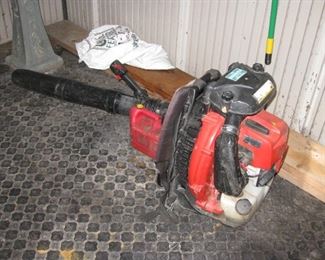EBZ8550 RedMax blower