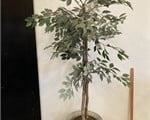 ARTIFICIAL FICUS TREE