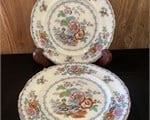 7 ANTIQUE ASHWORTH BROS 1800'S SALAD PLATES
