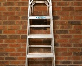 6 foot aluminum painter's ladder