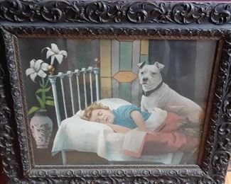 Coo vintage framed print