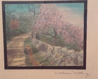 cbs Small Wallace Nutting 