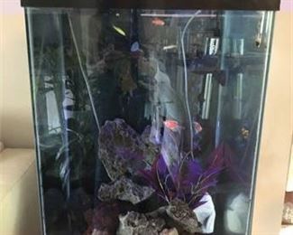 Fish Tank wih Fish, Accessories Stand