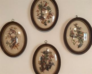 BUBBLE GLASS FRAMES.