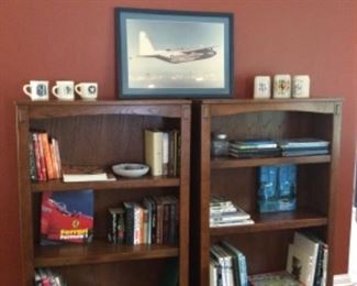 Craftsman style bookcases