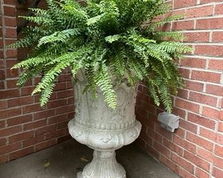 Concrete planter w/ live fern (Very heavy!)