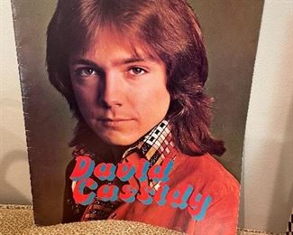 David Cassidy  book