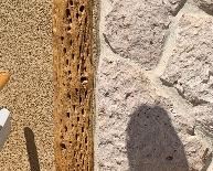 Cholla Cactus Floor Lamp