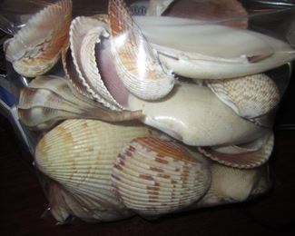 SHELLS