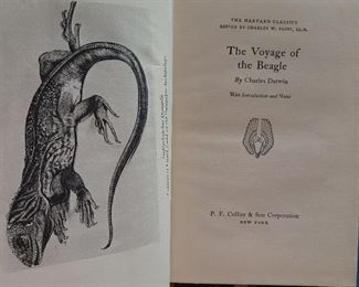 The Voyage of the Beagle Darwin