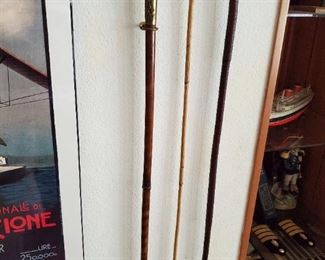 canes walking sticks