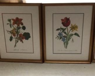 Set of 4 Framed and Matted Botanical Prints 