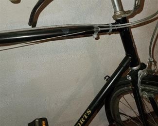 Raleigh Sports Bicycle