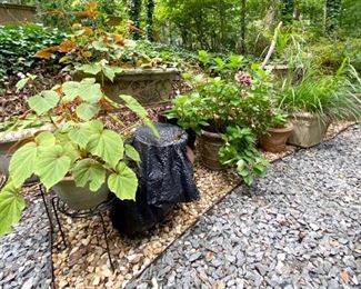 Outdoor potted plants