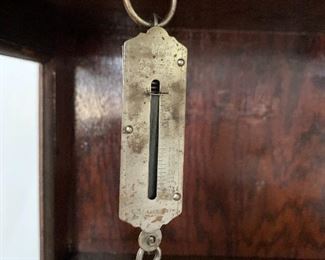 hanging scale