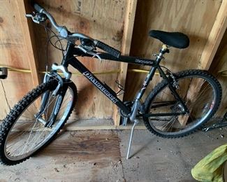 Diamondback Mountain Bike