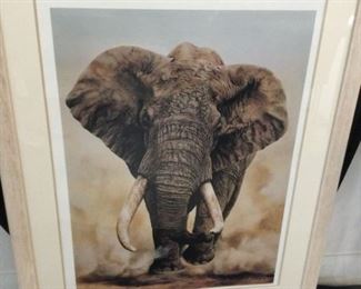 Grey Bull Elephant by J K Gregory