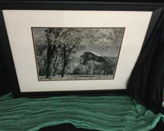 Half Dome Oak Trees Autumn Yosemite