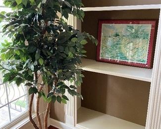 Realistic ficus tree.  Peaceful print.
