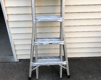 Werner ladder