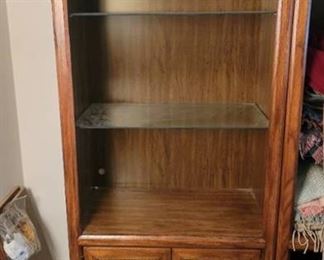 MCM Lighted Glass Shelves Bookcase