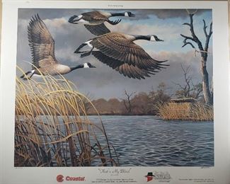 21 Roe Thats My Blind