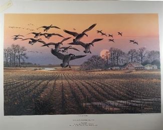 23 Raedke Cottonwood Canadas