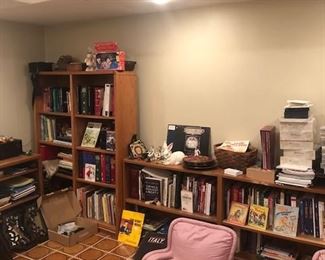 BASEMENT BOOK SHELVES