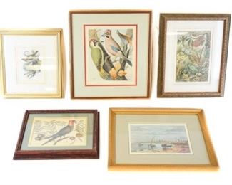 52	Grouping of Ornithological, Insect, Scenic Art	"Mimicry in Insects" chromolithograph c. 1896; After artist H Morin (active late 19th century). Composite study of twenty-seven camouflaged insects in a woodland scene that includes a cowslip (Primula veris). The insects include several butterflies and moths from different regions of the world, notably the Green hairstreak butterfly (Callophrys rubi), the dead leaf butterfly (Kallima inachus) and the buff-tip moth (Phalera bucephala). Plate facing p.10 in the book "The Royal Natural History" edited by Richard Lydekker...vol.6 (Frederick Warne, London 1896).Richard Lydekker (1849-1915) Image: 6" x 9 1/2", Frame size: 14" x 11" Chromolithograph of green woodpecker, Jay and Nuthatch by Vincent Brooks Day & Son from Cassell's Canaries and Cage Birds ( Published in London, circa 1880. Image: 8" x 11:, Frame: 15" x 13" Engraving of "The View of the City of Buenos Ayres, Argentine Republic" with initials A.C.S. 6 1/2" x 9". Frame: 12" x 15" Pa