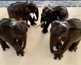 Tuskless elephant family looking for new home. 