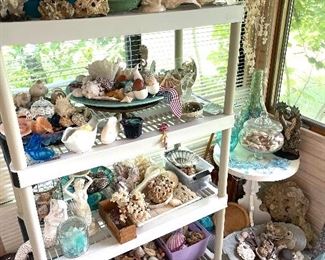 More shells and stuff