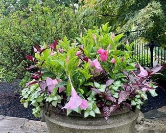 Item 7:  (2) Cement Planters with Flowers:  $225/Each 