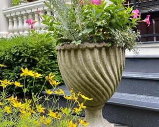 Item 14:  (2) Cement Planters with Mandevilla Vines - 26.5":  $295/Each                                                                          These items are extremely heavy and will likely need to be moved by professionals