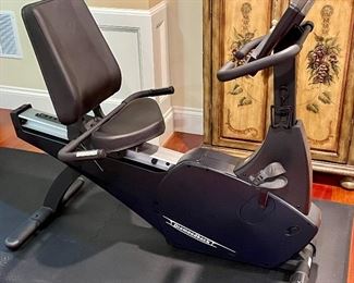 Item 261:  Diamondback Recumbent Bike:  $565