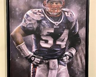 Item 207:  Tedy Bruschi by Brian Fox - Canvas Print - 32" x 54":  $1250