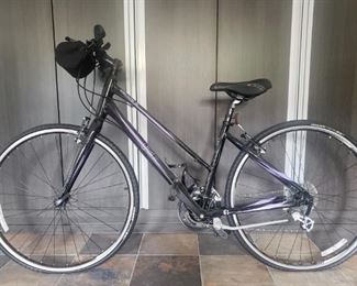 Item 534:  Giant Bike:  