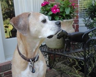 Why does that flower not smell??